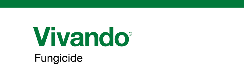 BASF | Product Profile - Vivando